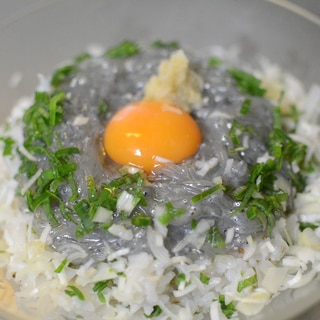 生のしらすを頂くた生しらす丼